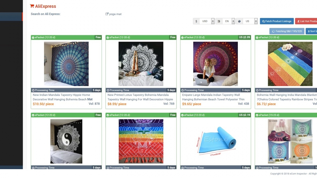 ecom inspector review