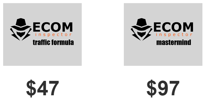 ecom inspector review